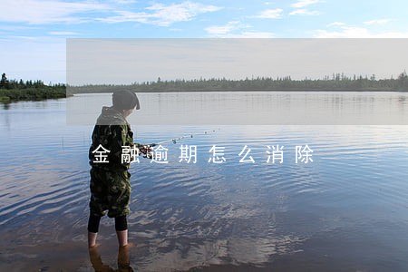 金融逾期怎么消除