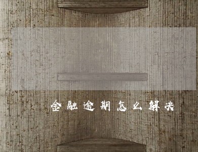 金融逾期怎么解决