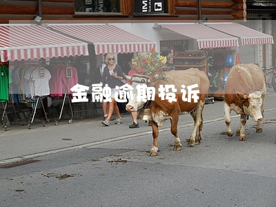 金融逾期投诉