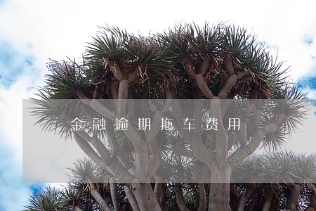 金融逾期拖车费用