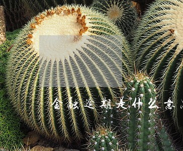 金融逾期是什么意思