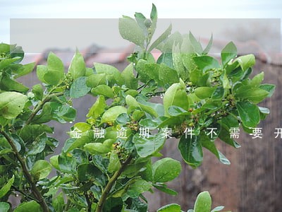 金融逾期案件不需要开庭吗