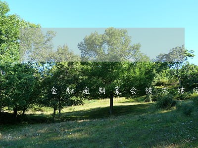 金融逾期案会被冻结吗 金融逾期案会被冻结吗