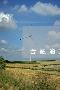 金融逾期率的英文缩写 金融逾期率的英文缩写