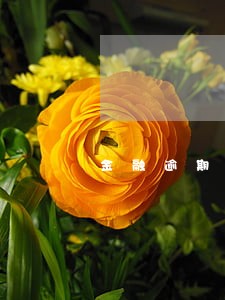 金融逾期率计算