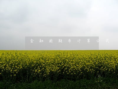 金融逾期率计算公式 金融逾期率计算公式