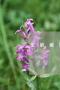 金融逾期的规定 金融逾期的规定
