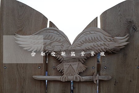 金融逾期监管管理