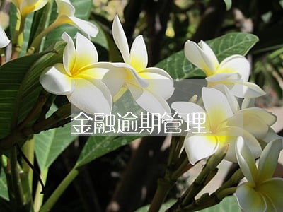 金融逾期管理
