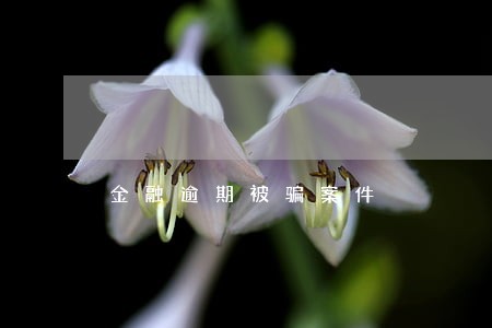 金融逾期被骗案件 金融逾期被骗案件