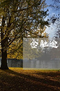金融逾期要求全额还清怎么办 金融逾期要求全额还清怎么办
