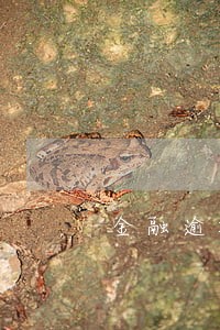 金融逾期记录 金融逾期记录
