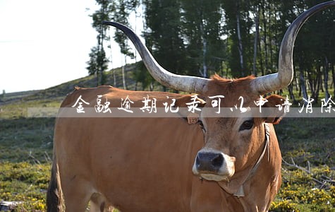 金融逾期记录可以申请消除吗 金融逾期记录可以申请消除吗