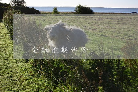 金融逾期诉讼 金融逾期诉讼