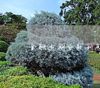 金融逾期贷款利息 金融逾期贷款利息