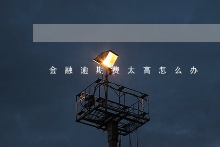 金融逾期费太高怎么办 金融逾期费太高怎么办