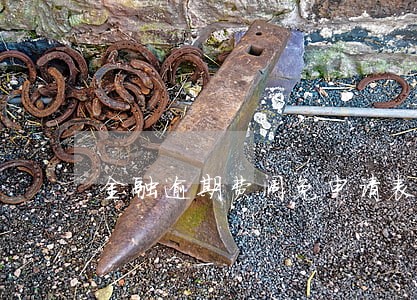 金融逾期费阔免申请表