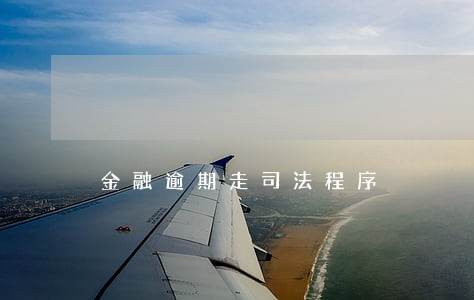 金融逾期走司法程序 金融逾期走司法程序