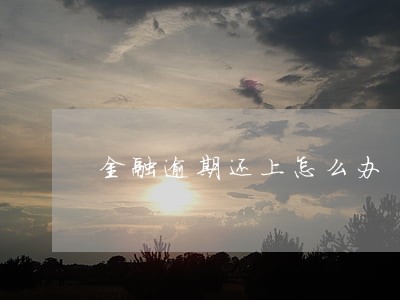 金融逾期还上怎么办