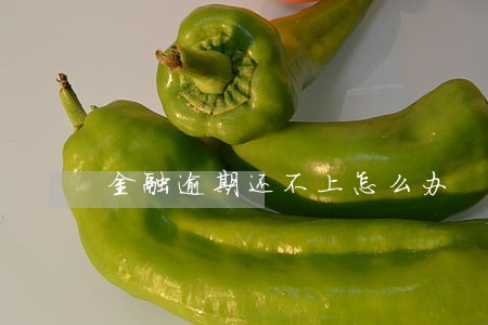 金融逾期还不上怎么办 金融逾期还不上怎么办