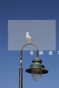 金融逾期还不上有什么办法 金融逾期还不上有什么办法
