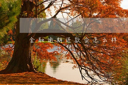 金融逾期还款会怎么样 金融逾期还款会怎么样
