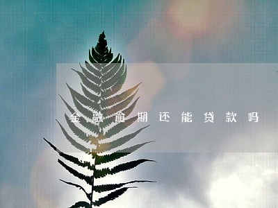 金融逾期还能贷款吗 金融逾期还能贷款吗