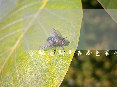 金融逾期通告函包裹侠 金融逾期通告函包裹侠