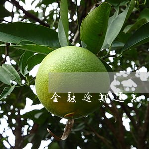 金融逾期通知 金融逾期通知