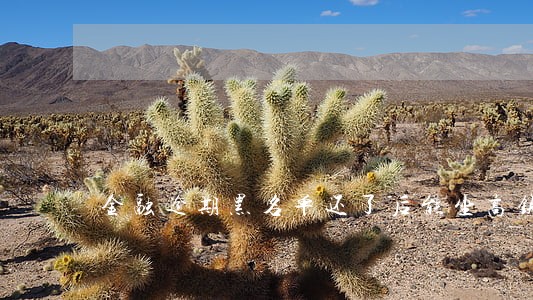 金融逾期黑名单还了后能坐高铁吗 金融逾期黑名单还了后能坐高铁吗