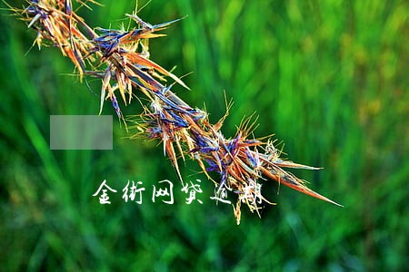 金街网贷逾期 金街网贷逾期