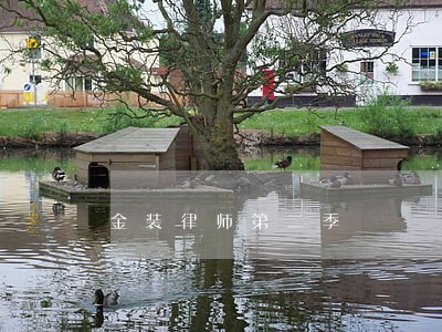 金装律师第二季 金装律师第二季