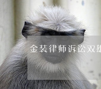 金装律师诉讼双雄第七季