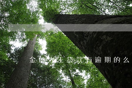 金角大王贷款有逾期的么 金角大王贷款有逾期的么