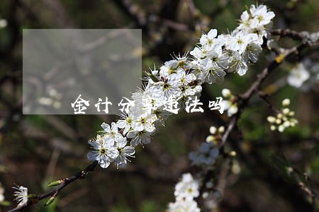 金计分享违法吗