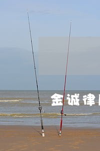 金诚律所贷款逾期 金诚律所贷款逾期