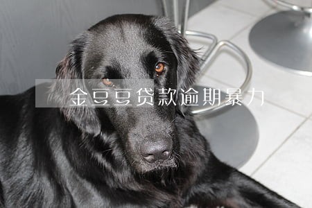 金豆豆贷款逾期暴力 金豆豆贷款逾期暴力