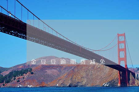 金豆豆逾期费减免 金豆豆逾期费减免