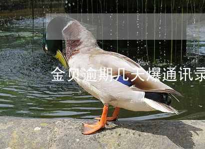 金贝逾期几天爆通讯录