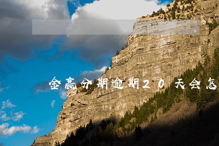 金赢分期逾期20天会怎么样 金赢分期逾期20天会怎么样