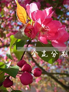 金赢分期逾期会催收 金赢分期逾期会催收