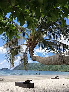 金通卡逾期一天罚款
