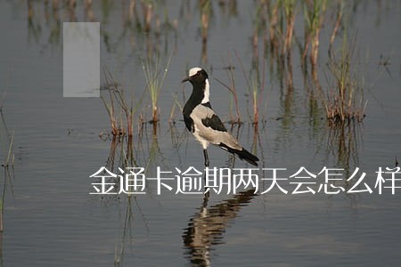 金通卡逾期两天会怎么样