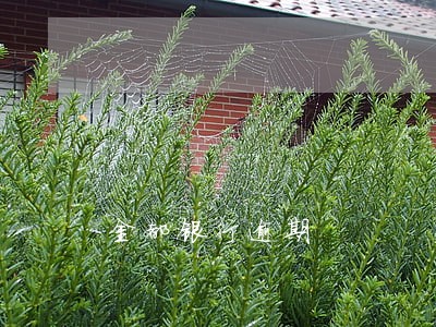 金都银行逾期 金都银行逾期