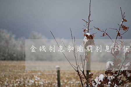 金钱利息和逾期利息如何计算执行
