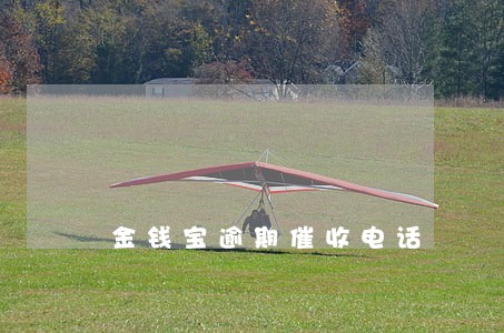 金钱宝逾期催收电话 金钱宝逾期催收电话