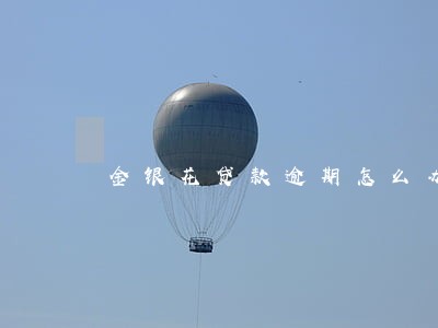 金银花贷款逾期怎么办 金银花贷款逾期怎么办