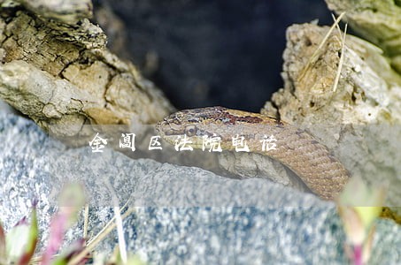 金阊区法院电话 金阊区法院电话