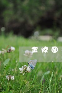 金陵图书馆逾期滞纳金 金陵图书馆逾期滞纳金