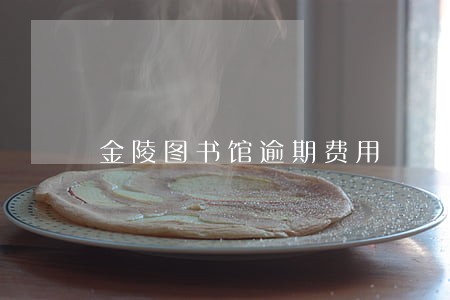 金陵图书馆逾期费用